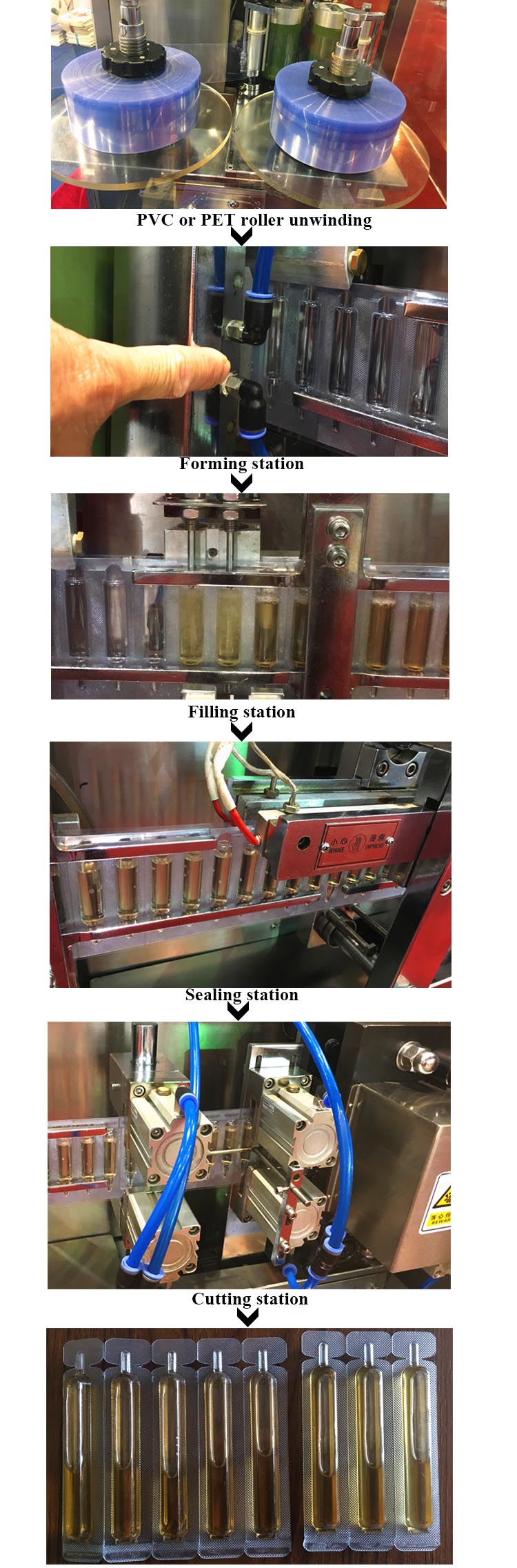Proceso de producto de la m&aacute;quina de sellado de llenado de pl&aacute;stico de ampulas