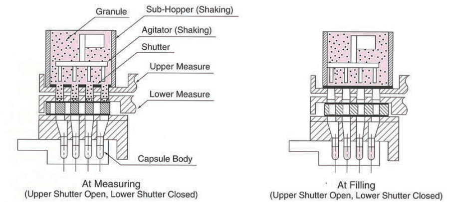 m&aacute;quina de llenado de c&aacute;psula _granule relleno