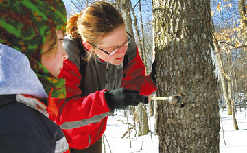 Festival de az&uacute;car de arce