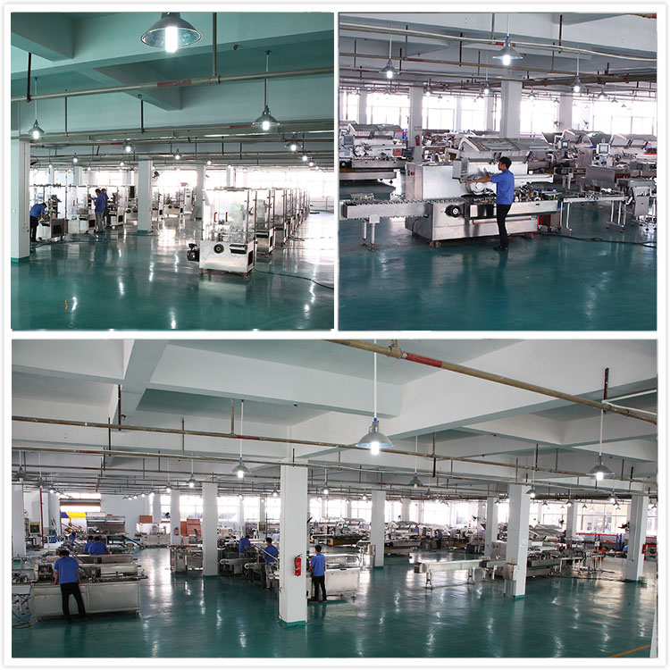 Machine de carton&iacute;a autom&aacute;tica09